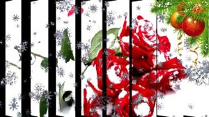 Руслан Кайтмесов..!! Розы на снегу..!!