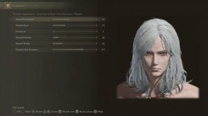 Elden Ring Griffith Character Customisation