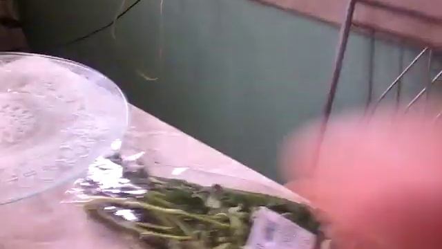 ЗАКУПЛЕННЫЕ ПОСТНЫЕ ПРОДУКТЫ и БОРЩ. смотреть онлайн