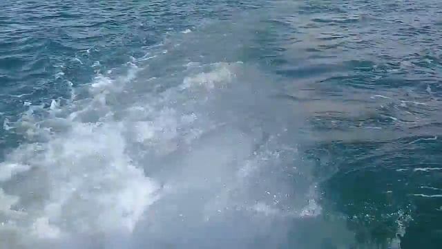 Волшебное Чёрное море.... Сочи, Адлер. Рубрика:Путешествия по России, Москве и Московской Области. смотреть онлайн