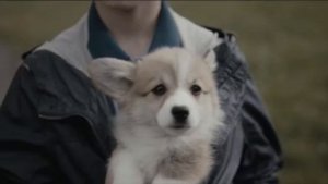 (2015) Pedigree (корм для собак) - Тем, кто делает нас лучше