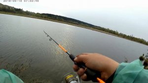 Карась на микроджиг и крупный окунь