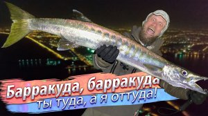 МОРСКАЯ ЩУКА! Рыбалка на спиннинг с берега моря. Огромные воблеры.