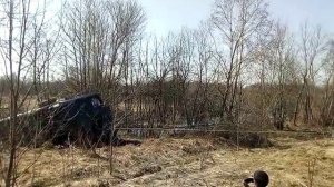 бегемот в болоте