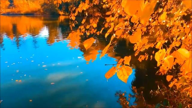 #Культурная суббота #Литературная гостиная #Поэзия осени