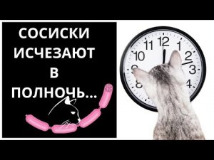 Кот на Кухне. Ночной дозор. ?