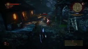 Let's play The Witcher 2 [interaktiv] [blind] #30 Treffen mit Siggi König [german]