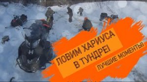 РЕКА ЗАБИТА ХАРИУСОМ! РЫБАЛКА В ТУНДРЕ!( Лучшая моя рыбалка часть 3).mp4