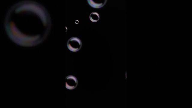 Топ 10 животных! Милое видео! смотреть онлайн