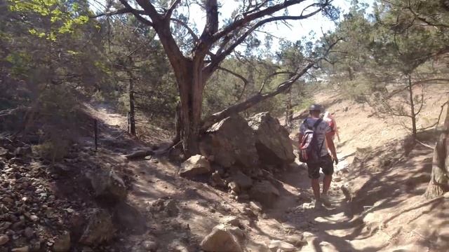 НОВЫЙ СВЕТ. Набережная, тропа Голицына, можжевеловая роща, Царский пляж. смотреть онлайн