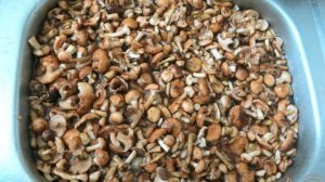 Опята под сливками