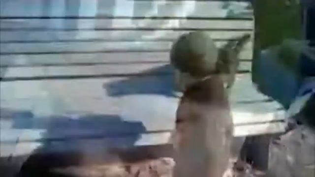 Поляна сказок смотреть онлайн