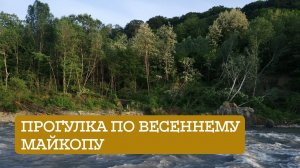 Прогулка по весеннему городу Майкоп
