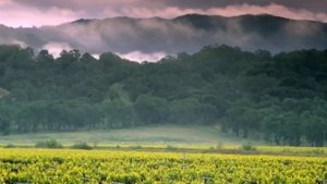 Кто Такой антихрист и Зачем он Придет на Землю! Пророчества и Предсказания   Старец Элпидий