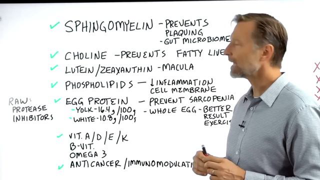 Если яйца будут единственным источником белка, что произойдет?