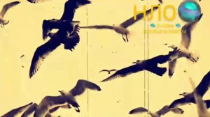 ЧТО У НАС ТВОРИТСЯ В МИРЕ..НЛО/ПОДПИШИТЕСЬ 👇👇👾🤖👽