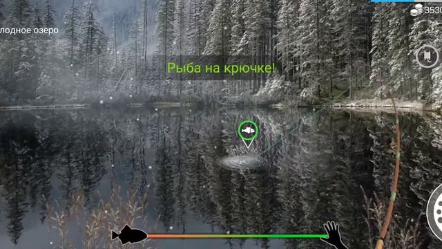 как и где ловить#елец#my fishing world