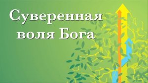 Суверенная воля Бога. Проповедь Александра Шевченко
