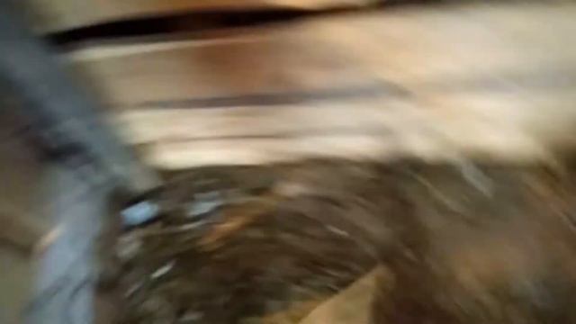 зайки милые зайки смотреть онлайн