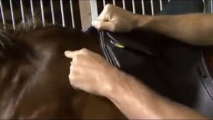 Как выбрать седло (9 шагов) Шаг пятый: Подгонка приструг by Schleese Saddlery Service