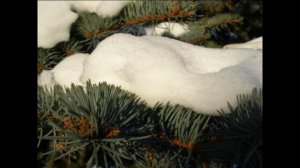 Музыка под снегом