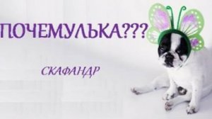 ПОЧЕМУЛЬКА. КОСМОС. СКАФАНДР. СТИХИ ДЛЯ МАЛЫШЕЙ. ПОТЕШКИ. Короткие стишки для самых маленьких.