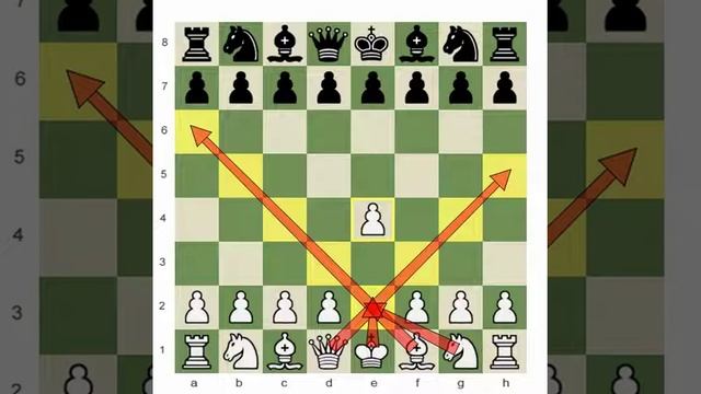 Chess.com - Nominal and Absolute Power of The Pieces смотреть онлайн
