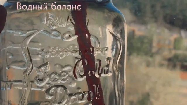 Влог моё продуктивное утро перед школой/Как проснуться утром/Как быть продуктивным