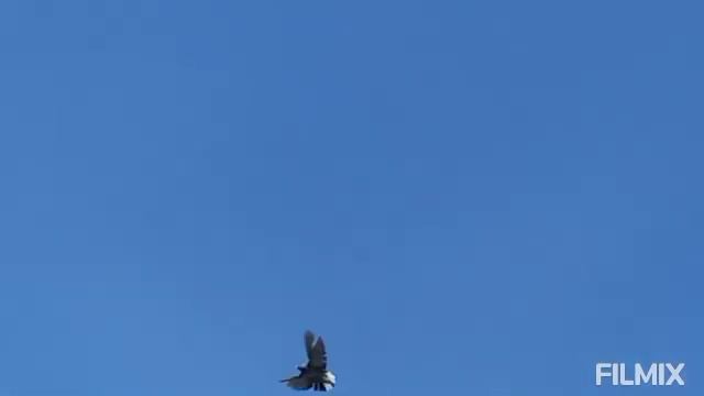 Всем всех благ, разминка ??? смотреть онлайн