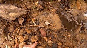 Поиск кремня, Битцевский парк, несколько слов о Москве