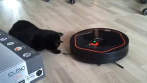 Кошка и робот пылесос