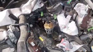 Заміна форсунок Форд 2.0 EcoBlue PANTHER