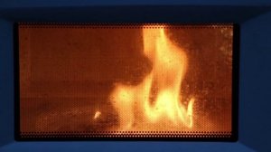 Диск и бензин в микроволновке S03E2