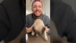 видео приколы завтра на работу