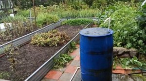 Желоб для водостока из профнастила и канализационных труб.