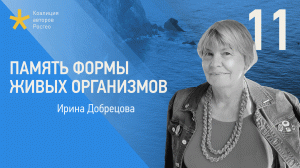 Память формы живых организмов. Лекция геолога Ирины Добрецовой