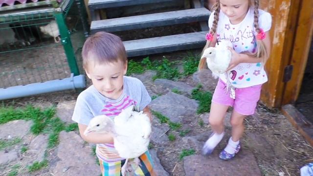 ПЕРЕСЕЛЯЕМ ИНДЮШАТ. НАСТЯ И РЕНЯ НА ФЕРМЕ смотреть онлайн