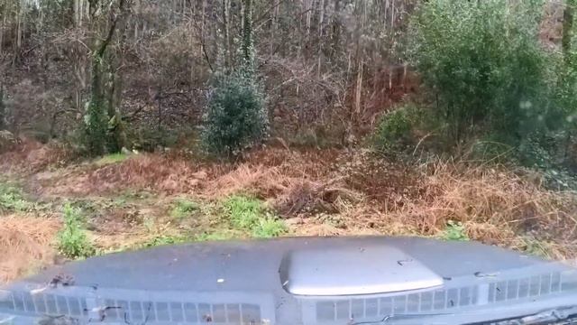 Vadeos ? y Corredoiras ? Nissan Patrol GR Y61 40" y Toyota LC90 37". Ruta Galicia #4x4 #offroad #4w смотреть онлайн