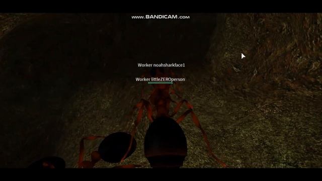 FIRE ANTS!!!!! (Ant Life) Roblox #1 смотреть онлайн