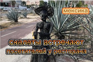 Забавные скелеты в Мексике