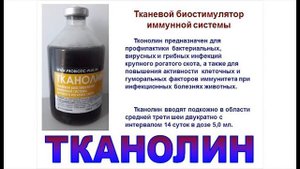 Профилактика поноса у телят и рост сохранности молодняка.