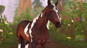 SSO|МОИ ЛЮБИМЫЕ ПОРОДЫ ЛОШАДЕЙ В STAR STABLE ONLINE