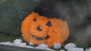 Thomas and Friends Halloween Toy Train Story with Tom Moss