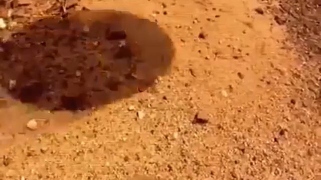 Марсохода Curiosity заснял НЛО rover Curisity filmed UFO смотреть онлайн