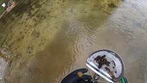 Minelab Excalibur II. Коп на отпуске