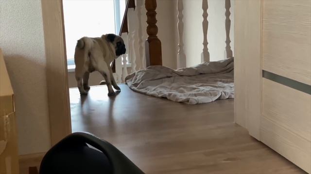 типо 24 ЧАСА НА ДАЧЕ! или 7 ДНЕЙ В НЕДЕЛЮ Я СБОРЩИК ИКЕА! *ВЛОГ* смотреть онлайн