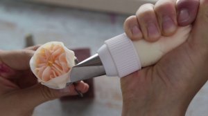 Упругий крем шантифлекс (chantyflex), Английская роза