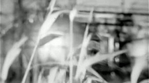 1985 год. Тобольск. Город и НХК.