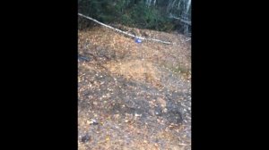 Травматический пистолет ОСА 4-1 МЛ