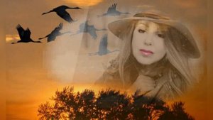 Злата Литвинова "Года, спотыкаясь летят в неизвестность" читает Любовь Б. #стихи #поэзия